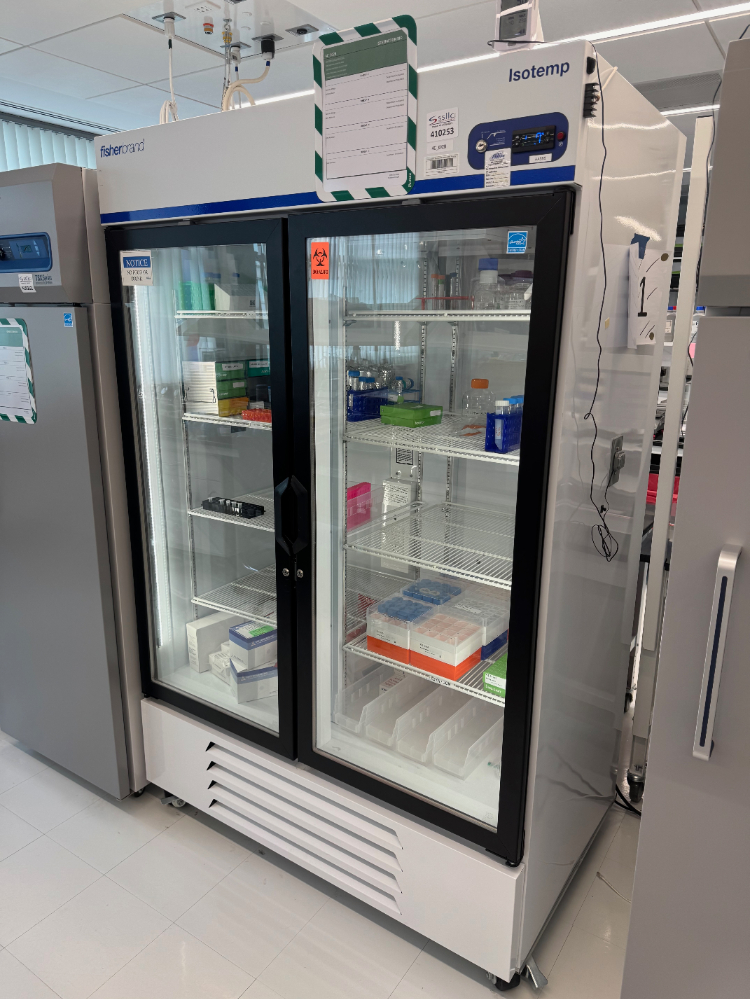 Image of Fisherbrand Isotemp Double Door Refrigerator